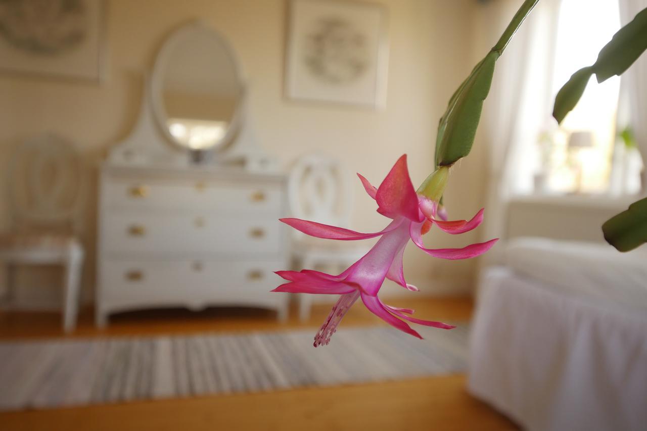 Bed and Breakfast Groena Anaes ostra Loa Exterior foto