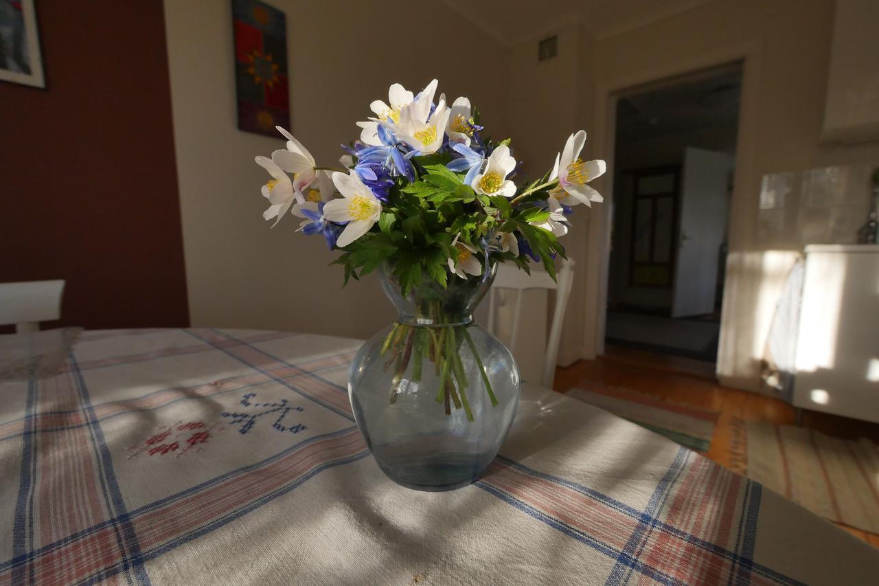 Bed and Breakfast Groena Anaes ostra Loa Exterior foto